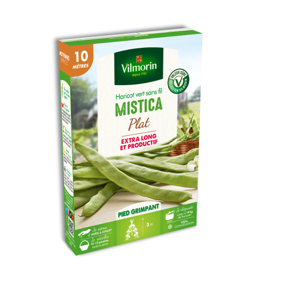 Légumes Secs - Haricot Grimpant Plat Vert Mistica - 10 m - PACKAGING_3D_RECTO